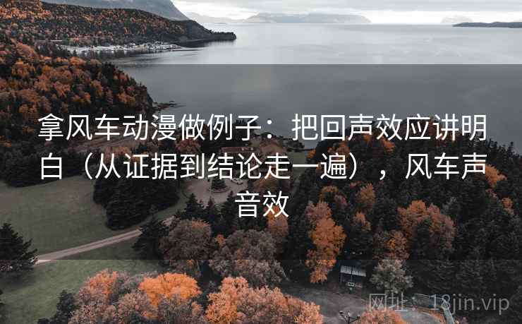 拿风车动漫做例子：把回声效应讲明白（从证据到结论走一遍），风车声音效
