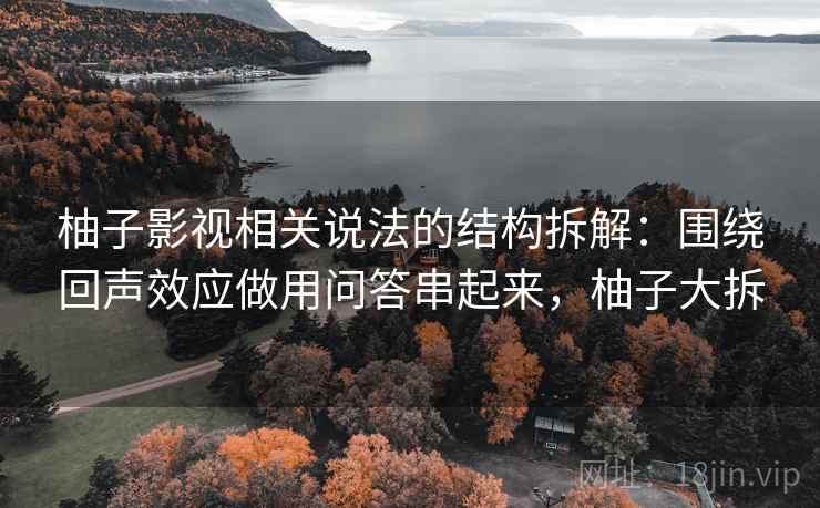 柚子影视相关说法的结构拆解：围绕回声效应做用问答串起来，柚子大拆